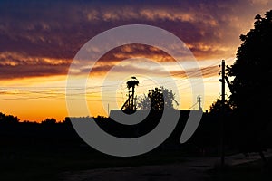 Stork`s nest on the background of a red sunset