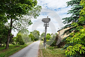 A stork\'s nest on an old electricity pole