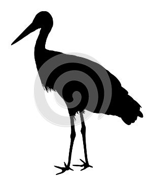 Stork silhouette. Visitant, bird migration symbol.