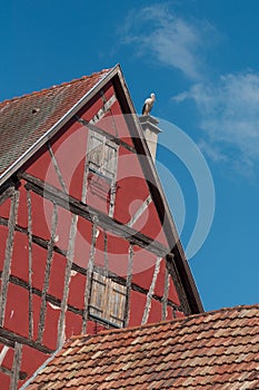 Stork standing on chimney of alsacian medieval house on blue sky background