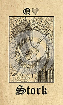 Stork. Tarot card from Lenormand Gothic Mysteries oracle deck