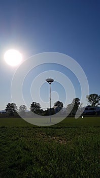 Storknest in the field