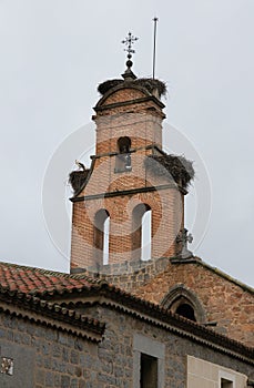 Storks on the bell tower of the church