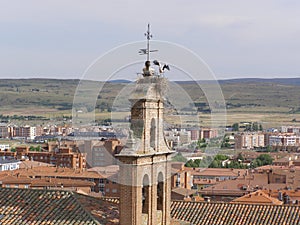 Storks Nest On The Belfry Top Avilla Spain