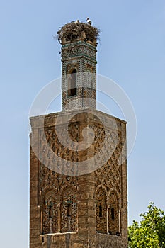 A storks nest caps the beautiful minaret at Chellah near Rabat in Morocco.