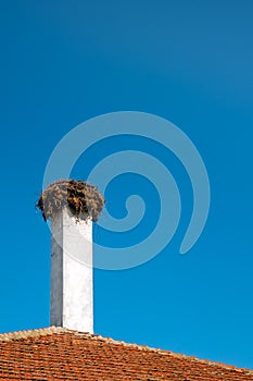 Storks nest on a chimney