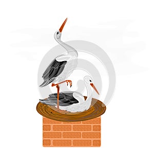 Storks and nest on a chimney vector