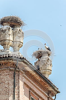 Storks nest in Racconigi Castle.