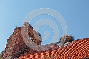Storks nest on the roof of a dilapidated building