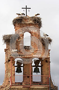 Storks upon nest upon a spanish belfry photo