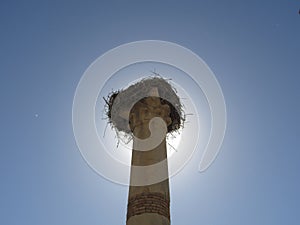 Storks nest, Volubilis, Marocco