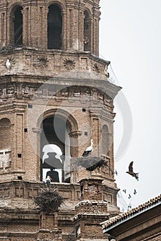 Cigüenas sobre el de iglesia se encuentra en 