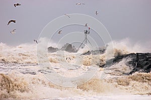 Storm photo