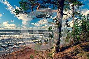 Storm on the Baltic Sea on a sunny day