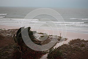 Storm on the beach. The seas are raging and the skies show the tropical storm as the power of nature is demonstrated. palm tree pu