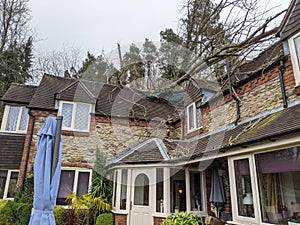 Storm blew down tree crashed on to roof of house photo