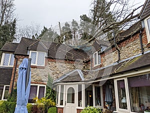 Storm blew down tree crashed on to roof of house photo