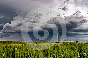 Storm Cell over Grassy Field