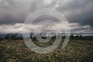 Storm clouds