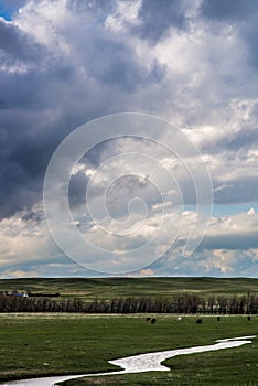 Storm clouds above field of green grass