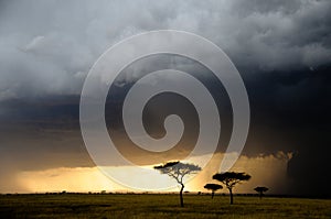 Storm clouds and cloudburst over the Maasai Mara reserve