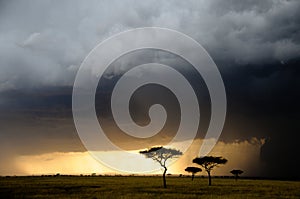 Storm clouds and cloudburst over the Maasai Mara reserve photo