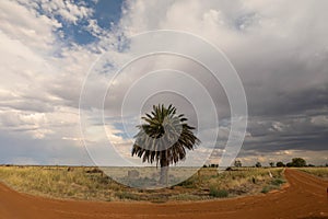 Storm clouds creating a stormy sky over dry paddocks