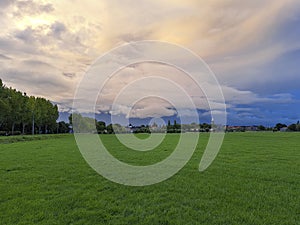 Storm clouds or cumulonimbus over the meadows of Hazerswoude