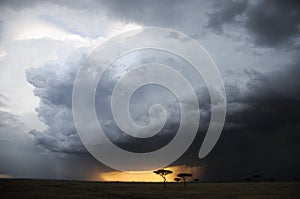 Storm clouds gather over the Maasai Mara reserve