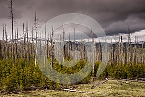 Storm Clouds on Mount Washburn