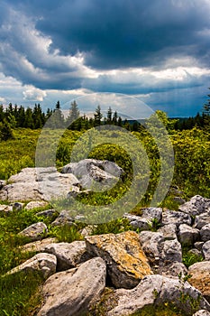 Storm clouds over Bear Rocks Preserve, Monongahela National Fore photo