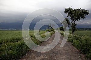 Storm clouds over country road