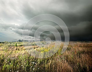 Storm clouds over field