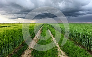 Storm clouds over field and road