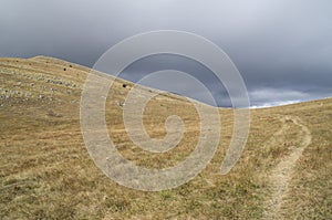 Storm clouds over mountains meadow