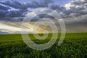 Storm Clouds Over the Prairies