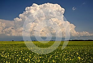 Storm clouds over Saskatchewan