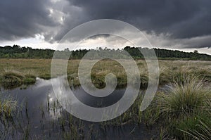 Storm clouds over Thursley