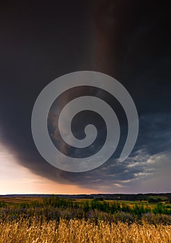 Storm clouds over wheat field.