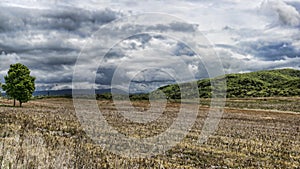 Storm Clouds seen from cornfield