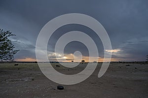 storm clouds at sunset on airfield hangars, Bitterwasser, Namibia