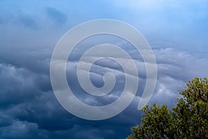 The storm is coming. Storm clouds above the tree. Heavy torrential rain. Rainfall flash flooding . Metorology weather forecast. photo