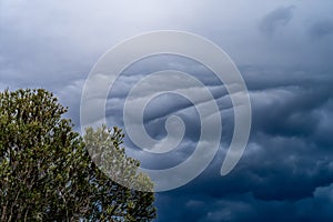 The storm is coming. Storm clouds above the tree. Heavy torrential rain. Rainfall flash flooding . Metorology weather forecast. photo