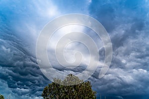 The storm is coming. Storm clouds above the tree. Heavy torrential rain. Rainfall flash flooding . Metorology weather forecast. photo