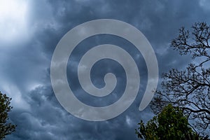 The storm is coming. Storm clouds above the tree. Heavy torrential rain. Rainfall flash flooding . Metorology weather forecast. photo