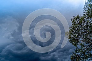 The storm is coming. Storm clouds above the tree. Heavy torrential rain. Rainfall flash flooding . Metorology weather forecast. photo