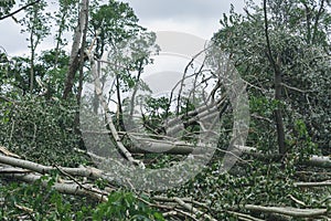 Storm consequences in the city of Minsk 13.07.16