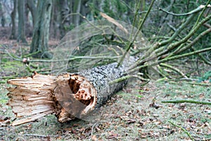 Storm damage