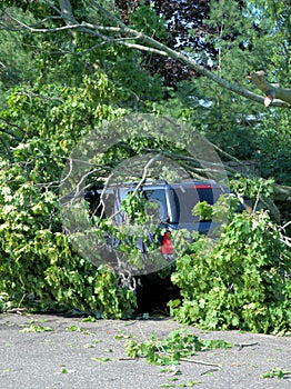 Storm Damage