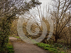 Storm damage along the River Wandle, Wandsworth in London. February 2022.